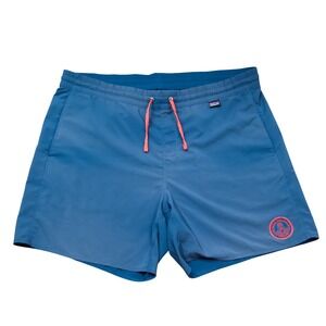 Patagonia Blue Men's M Hydropeak Volley Shorts 16" Protect Your Peaks Patch Fade